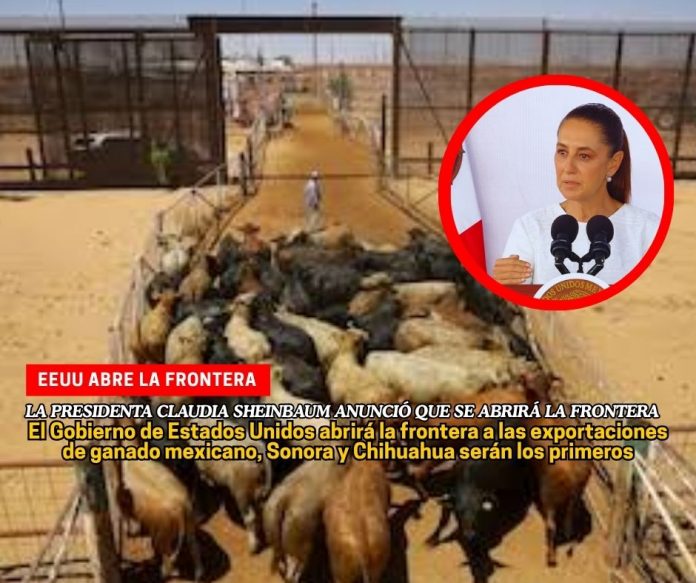 Estados Unidos reabre la frontera al ganado mexicano